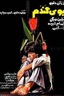 Boo-ye Gandom (1977) afişi