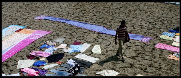 Bombay Summer fotoğrafı
