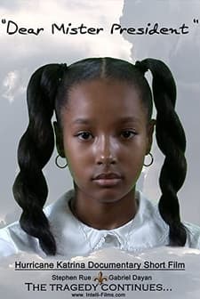 Dear Mister President (2006) afişi