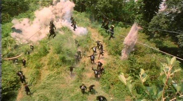 The Black Panther Warriors Fotoğrafı