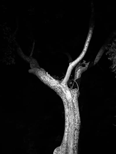 The Last Time I Saw Michael Gregg (2011) afişi