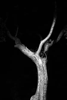 The Last Time I Saw Michael Gregg (2011) afişi