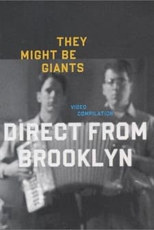 Direct From Brooklyn (1999) afişi