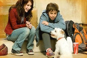 Köpek Oteli Fotoğrafı