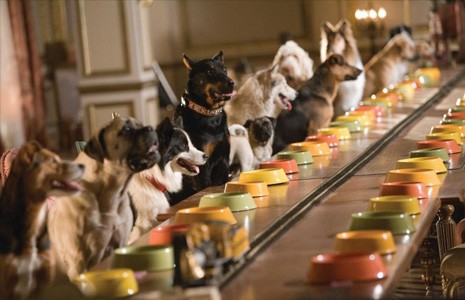 Köpek Oteli Fotoğrafı