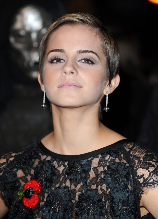 Harry Potter ve Ölüm Yadigarları: Bölüm 2 Fotoğrafı