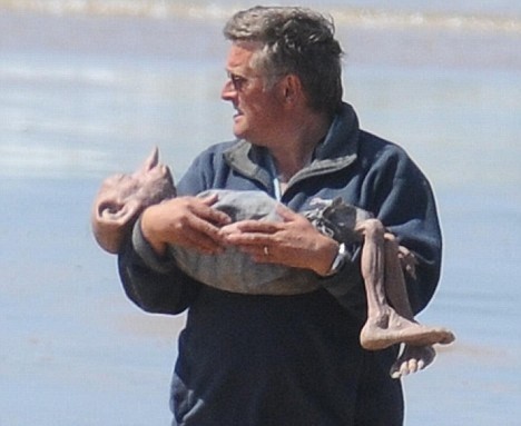 Harry Potter ve Ölüm Yadigarları: Bölüm 2 Fotoğrafı