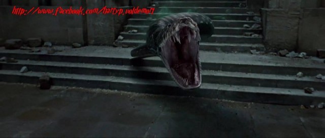 Harry Potter ve Ölüm Yadigarları: Bölüm 2 Fotoğrafı