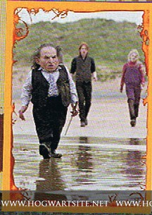 Harry Potter ve Ölüm Yadigarları: Bölüm 2 Fotoğrafı