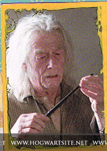 Harry Potter ve Ölüm Yadigarları: Bölüm 2 Fotoğrafı