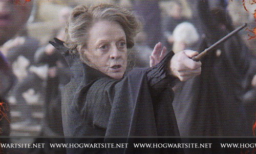 Harry Potter ve Ölüm Yadigarları: Bölüm 2 Fotoğrafı