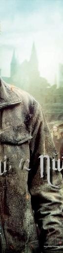 Harry Potter ve Ölüm Yadigarları: Bölüm 2 Fotoğrafı