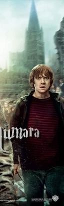 Harry Potter ve Ölüm Yadigarları: Bölüm 2 Fotoğrafı