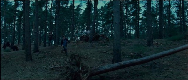 Harry Potter ve Ölüm Yadigarları: Bölüm 2 Fotoğrafı