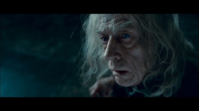 Harry Potter ve Ölüm Yadigarları: Bölüm 2 Fotoğrafı