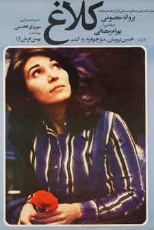 Kuzgun (1977) afişi