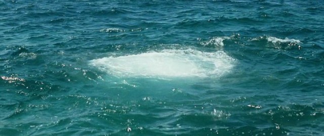 Karanlık Cennet Fotoğrafı