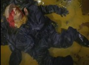 Masum Sanık Roger Rabbit Fotoğrafı