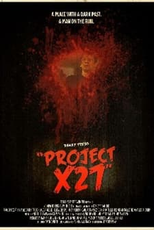Project x27 (2010) afişi