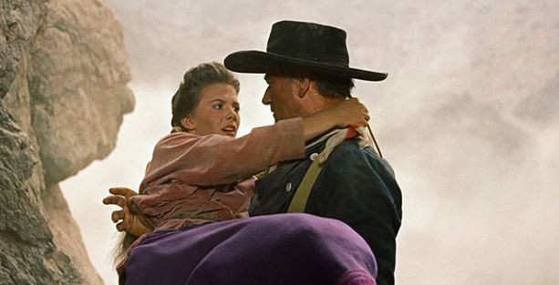 Çöl Aslanı Fotoğrafı