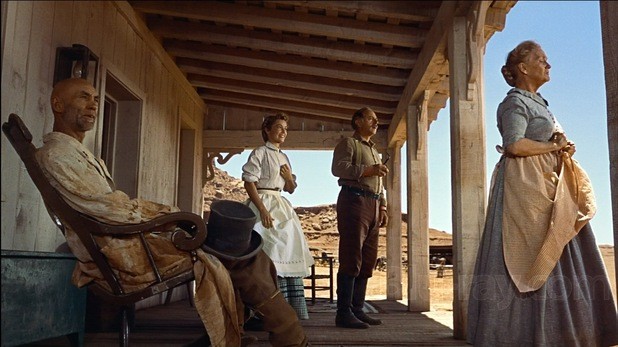 Çöl Aslanı Fotoğrafı