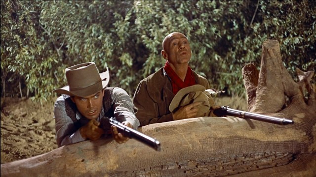 Çöl Aslanı Fotoğrafı