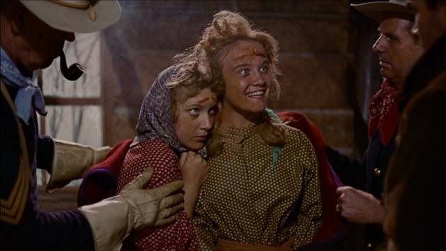 Çöl Aslanı fotoğrafı