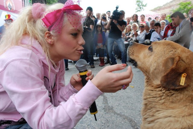 Evcilik Oyunu Fotoğrafı
