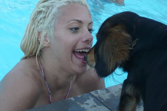 Evcilik Oyunu Fotoğrafı