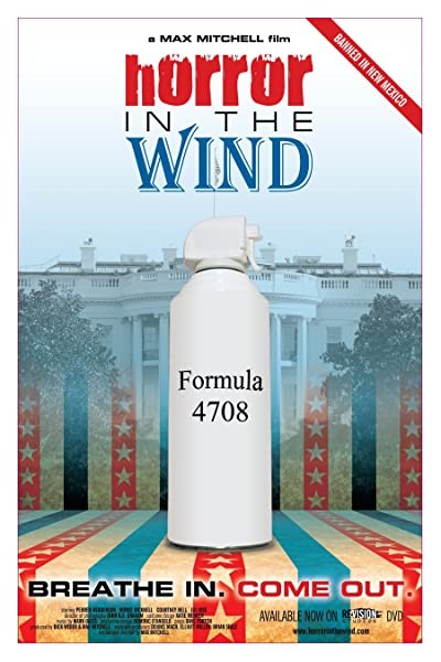 Horror In The Wind (2008) afişi