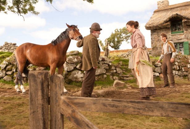 Savaş Atı Fotoğrafı
