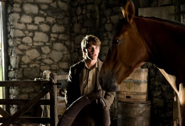 Savaş Atı Fotoğrafı