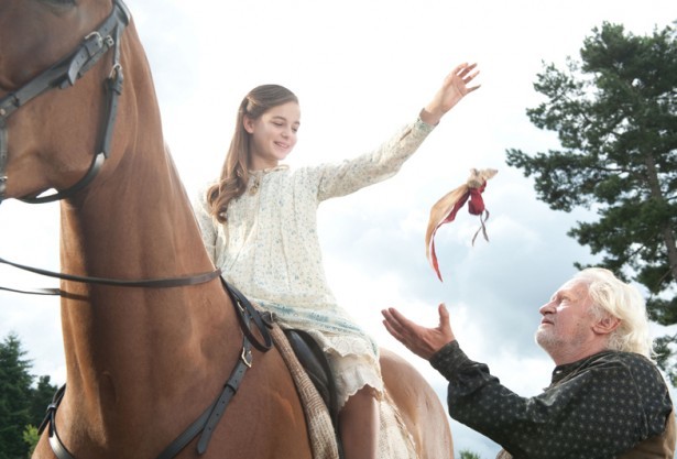 Savaş Atı Fotoğrafı