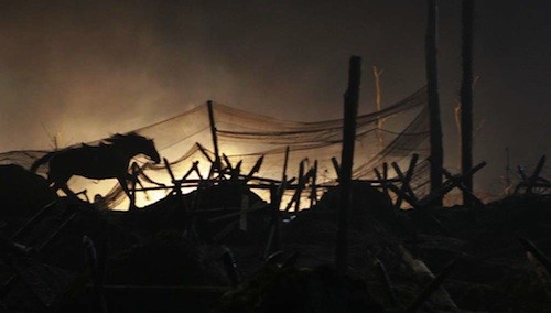 Savaş Atı Fotoğrafı