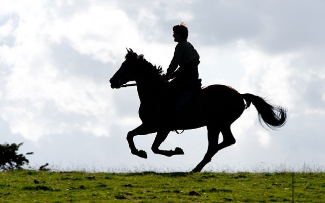 Savaş Atı Fotoğrafı