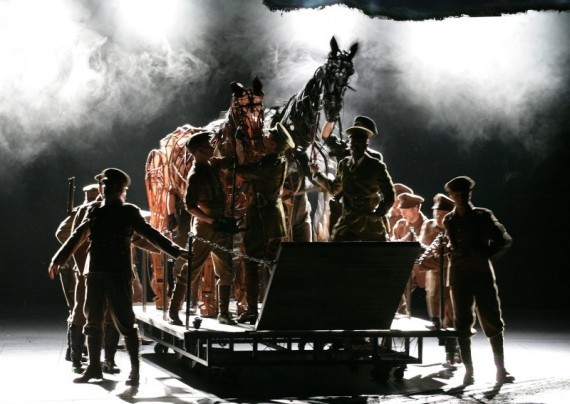 Savaş Atı Fotoğrafı