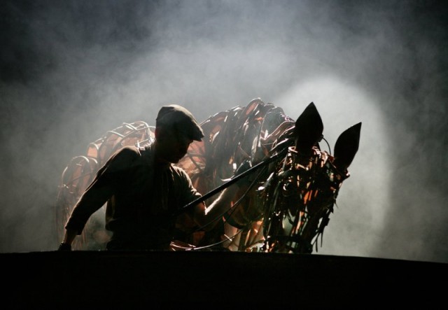 Savaş Atı Fotoğrafı