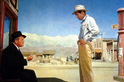 Zafer Madalyası fotoğrafı