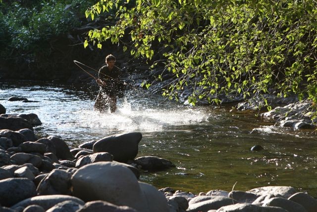 The River Why Fotoğrafı