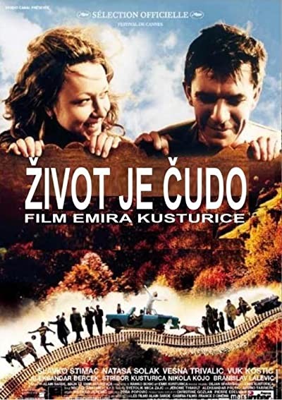 Bir Mucizedir Yaşamak (2004) afişi