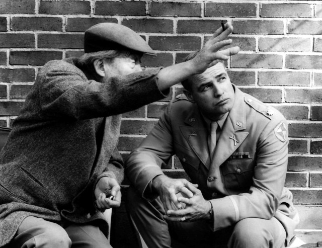 Parıltılı Gözler fotoğrafı