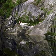 The Persian Love Cake (2009) afişi