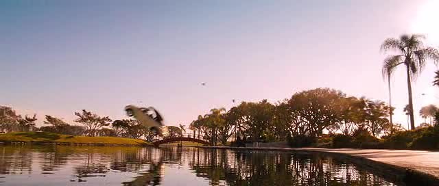 İyi Olan Kazansın Fotoğrafı