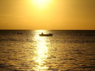 School Gyrls Fotoğrafı