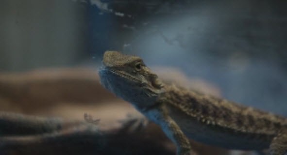 Stripped Naked fotoğrafı