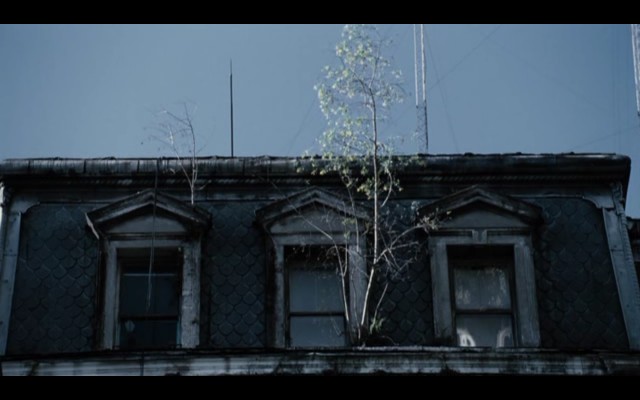 Medianeras Fotoğrafı