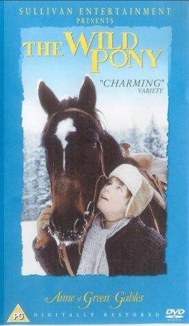 The Wild Pony (1983) afişi
