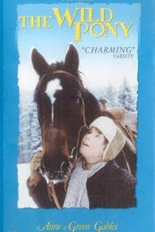 The Wild Pony (1983) afişi