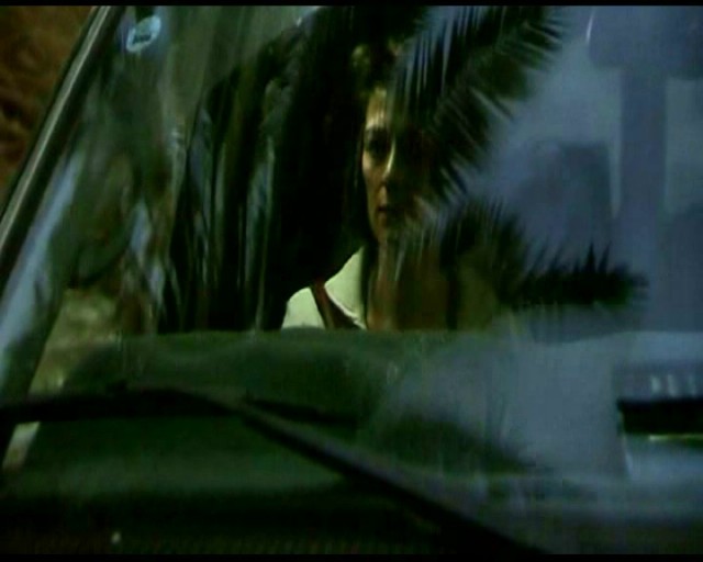 Serbest Bölge Fotoğrafı