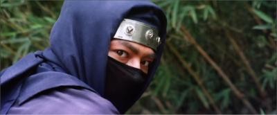 Ejderha İnindeki Ninja Fotoğrafı